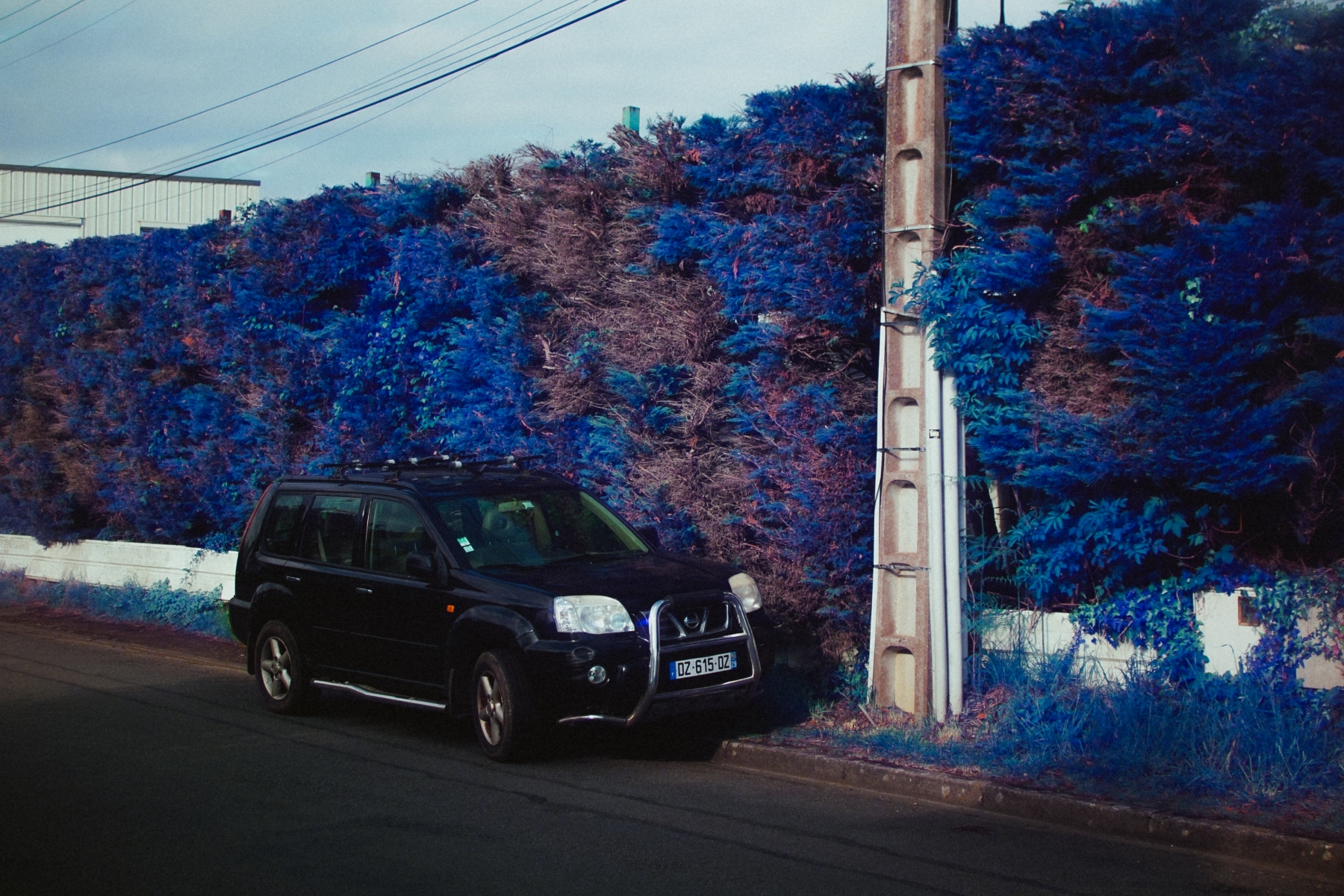Blue infrared experiments with tri-band color enhancing filters