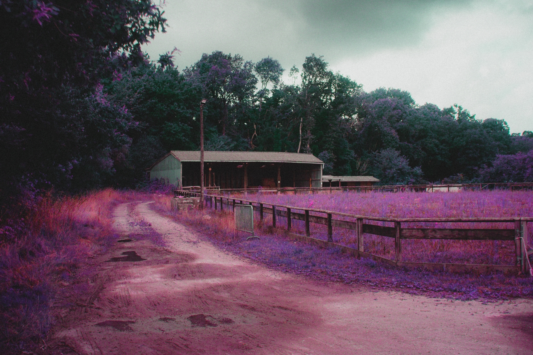 Lomo Purple inspired IR style