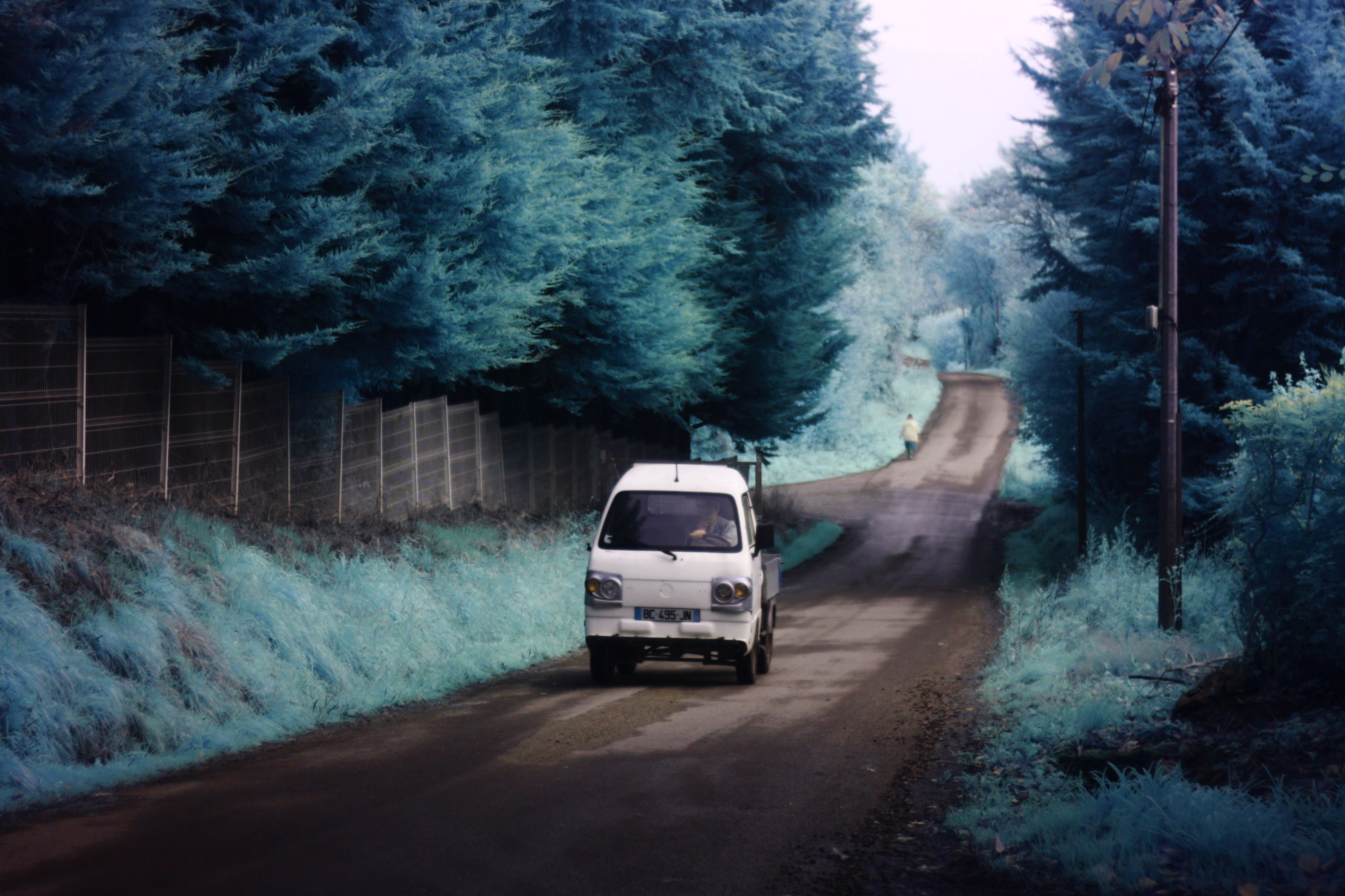My first Infrared photos