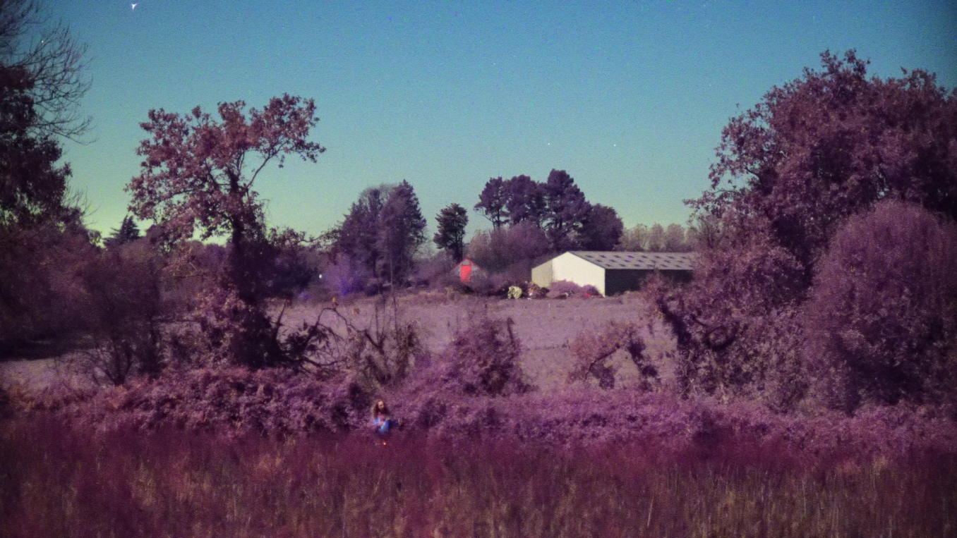 The Moonlight Camera